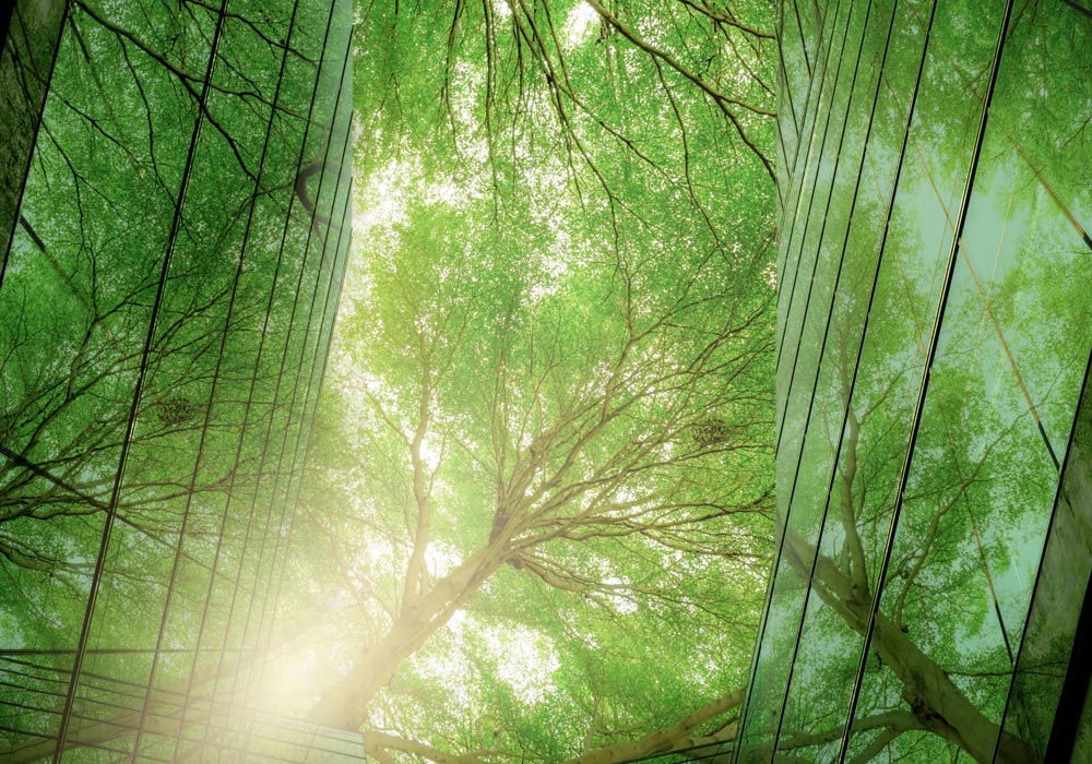 Low Energy / Passivhaus